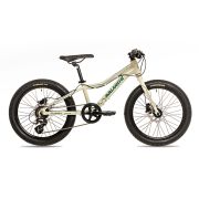 Avalanche Flash 20″ Disc mountain bike in silver — side view