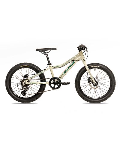 Avalanche Flash 20 inch Mountain Bike