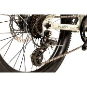 Avalanche Flash 20 inch Mountain Bike