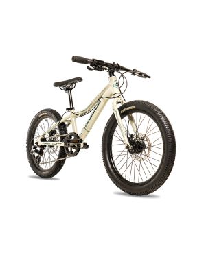Avalanche Flash 20 inch Mountain Bike