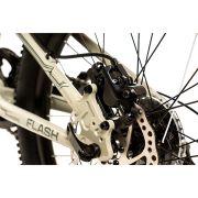 Avalanche Flash 20 inch Mountain Bike