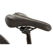 Avalanche Flash 20 inch Mountain Bike