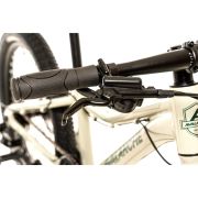 Avalanche Flash 20 inch Mountain Bike