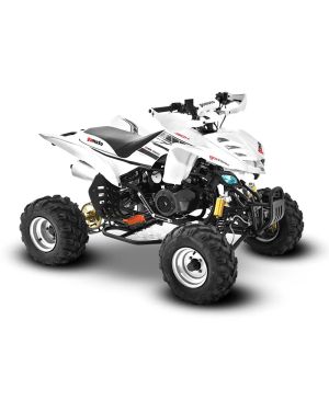 Big Boy Gomoto ATV 150 Quad Bike