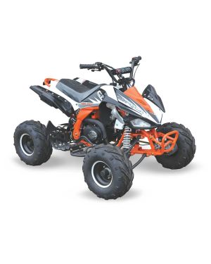 Big Boy Monster CRX 110 Quad Bike