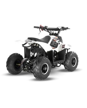 Big Boy Monster Puma 110 Quad Bike