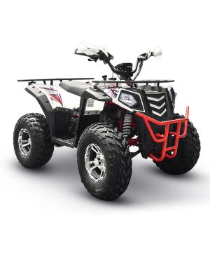 Big Boy Roamer 180F Quad Bike