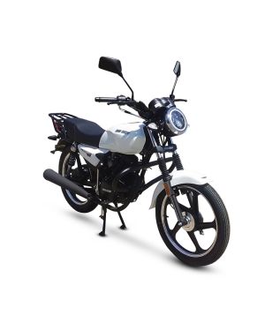 Big Boy Velocity 150 Delivery Bike