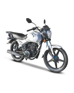 Big Boy Velocity 200 Deliver Bike