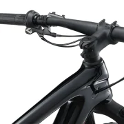 Giant Anthem Advanced 29 4 MTB 2025