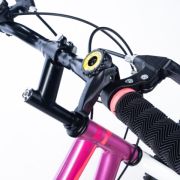 Galaxy Superboss 24 Inch Girls MTB