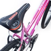Galaxy Superboss 24 Inch Girls MTB