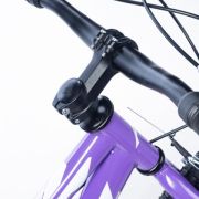 Alpha-Z 20 Inch Girls MTB