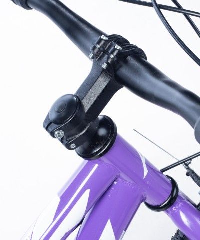 Alpha-Z 20 Inch Girls MTB