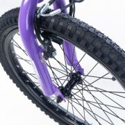 Alpha-Z 20 Inch Girls MTB