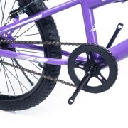 Alpha-Z 20 Inch Girls MTB
