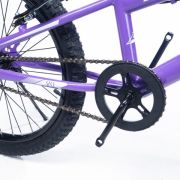 Alpha-Z 20 Inch Girls MTB