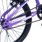Alpha-Z 20 Inch Girls MTB