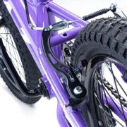 Alpha-Z 20 Inch Girls MTB