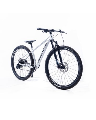 Signal S920 29 inch MTB Silver