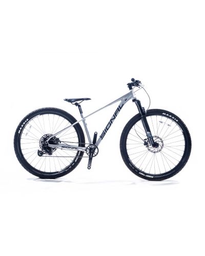 Signal S920 29 inch MTB Silver